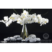 Tranh bình hoa in uv những bông hoa phong lan màu trắng