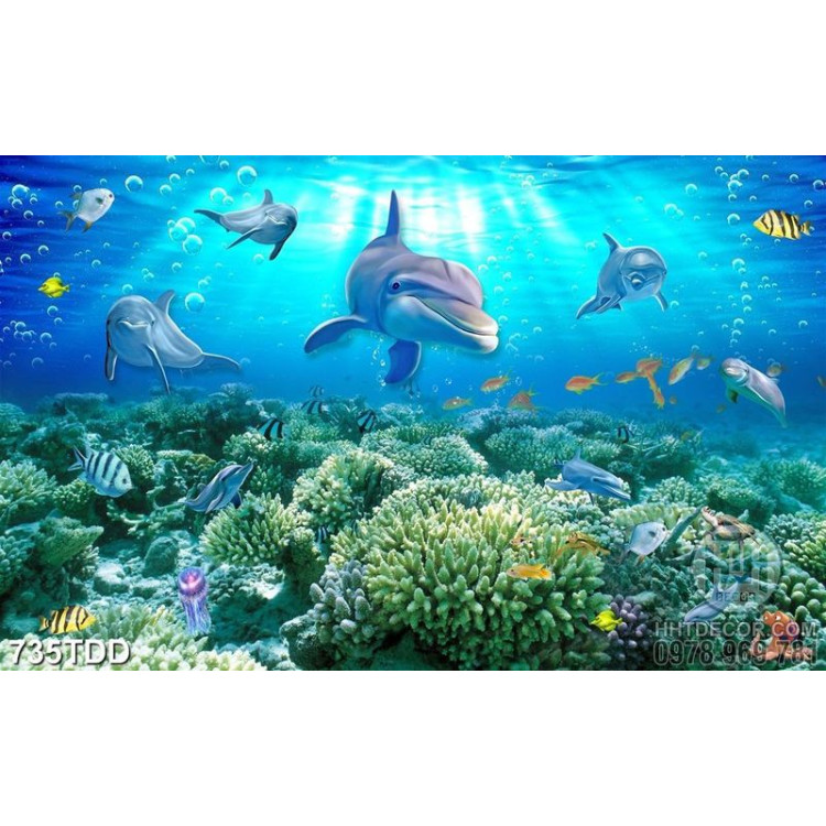 Tranh đá san hô và cá heo trang trí tường phòng trẻ em