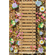 Tranh cái cầu bằng tre và những bông hoa sen đẹp 3d