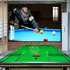 Tranh BiDa Cơ Thủ Nổi Tiếng